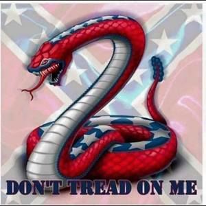 Meet your Posher, Wayne